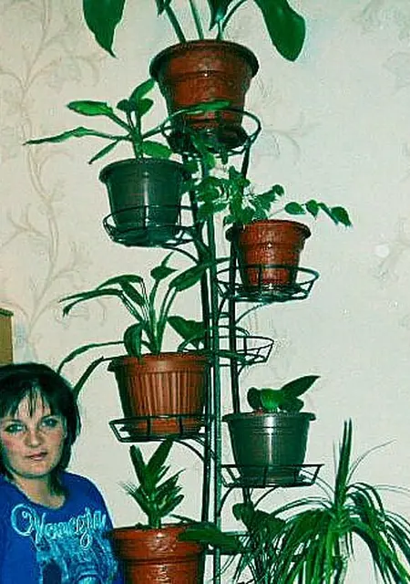 Я Нэтали, 39, из Пятигорска, ищу знакомство для приятного времяпровождения