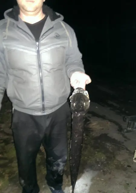 Артем из Свободного, ищу на сайте знакомства на одну ночь