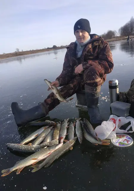 Я Дима, 48, знакомлюсь на одну ночь в Бабынине