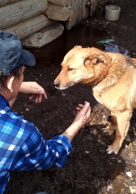 Я Владимир, 67, из Самары, ищу знакомства на одну ночь