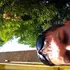 Я Petr, 56, из Уссурийска, ищу знакомства на одну ночь