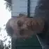 Я Александр, 53, знакомлюсь без обязательств в Краснодаре