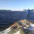 Иван из Сортавалы, ищу на сайте знакомства без обязательств