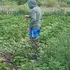 Я Максим, 21, знакомлюсь на одну ночь в Канске